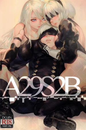 A29S2B
