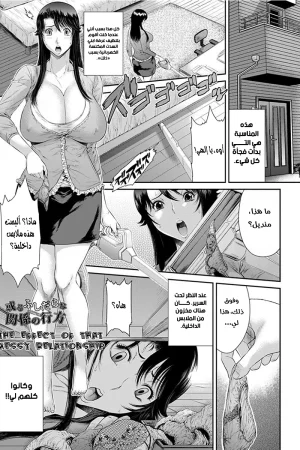 العلاقة الفوضوية