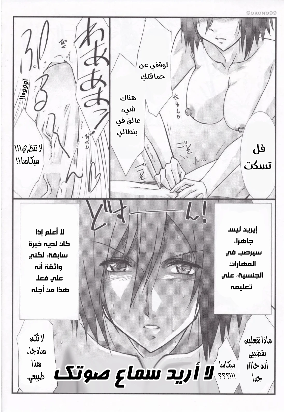 هجوم ميكاسا - Chapter 1 Page 2