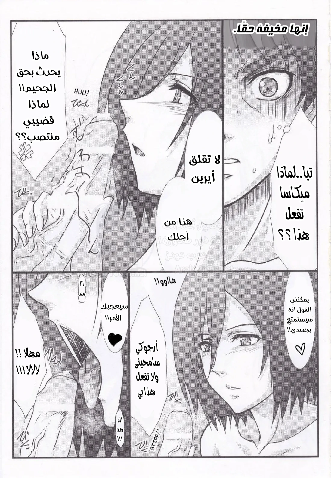 هجوم ميكاسا - Chapter 1 Page 3