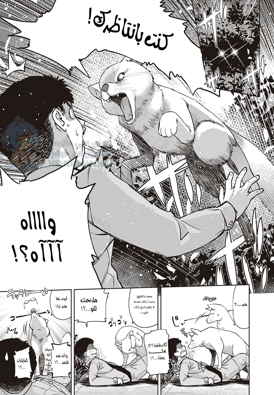 الثعلبة ذات النظارات - Chapter 1 Page 3